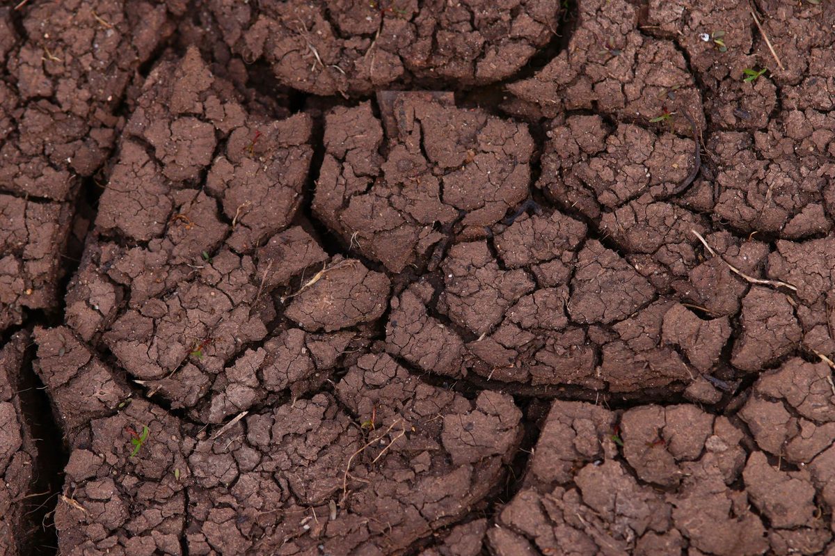 効果を引き出せる「使用環境」の条件とは